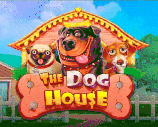 play the dog house in pribet casino
